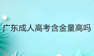 广东省2024年成人高考报名官网